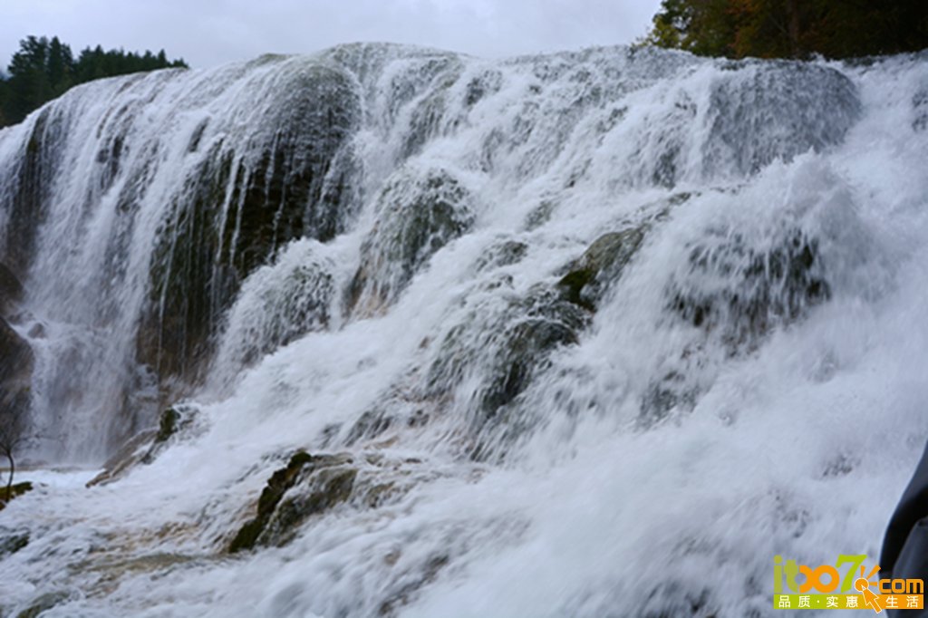DSC_2093.jpg