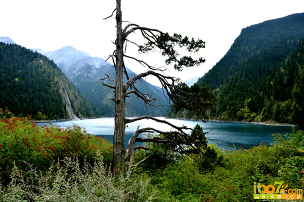 DSC_2181.jpg