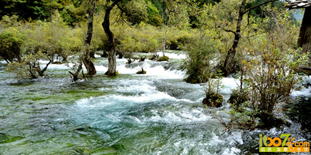 DSC_2289.jpg