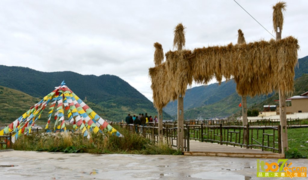 DSC_2442.jpg