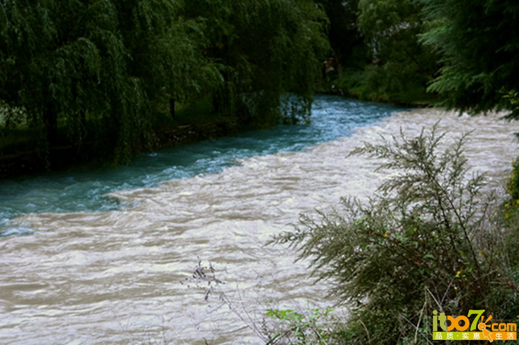 DSC_2002.jpg
