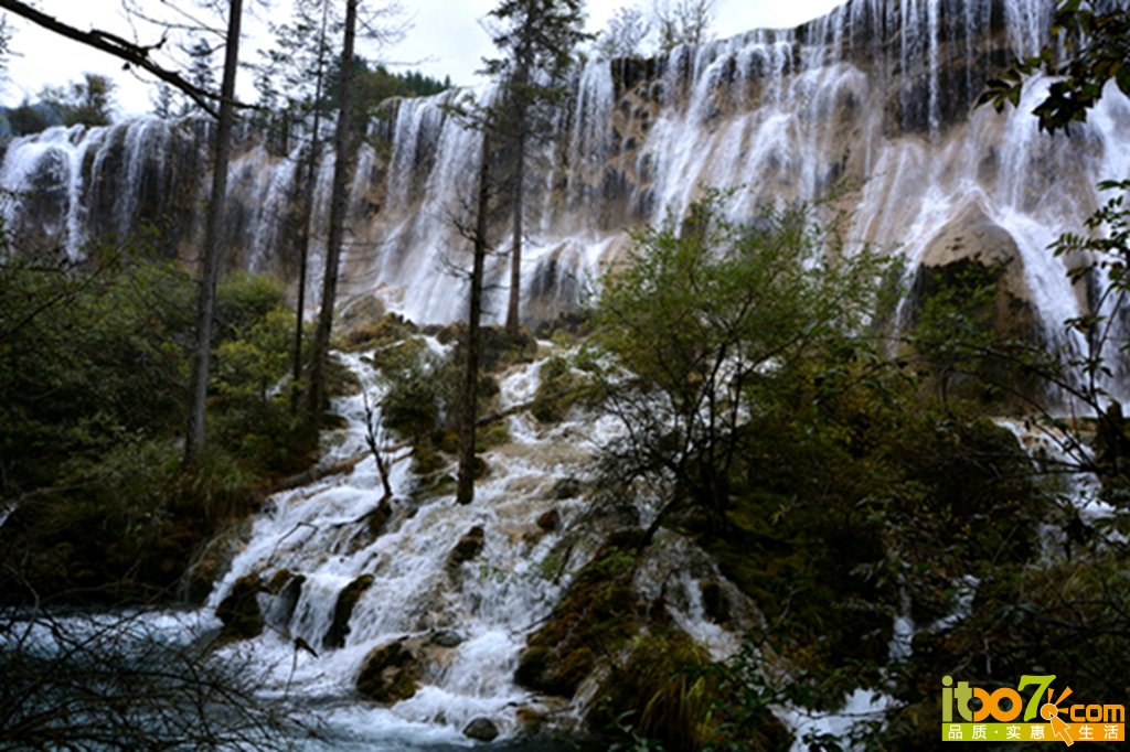 DSC_2100.jpg