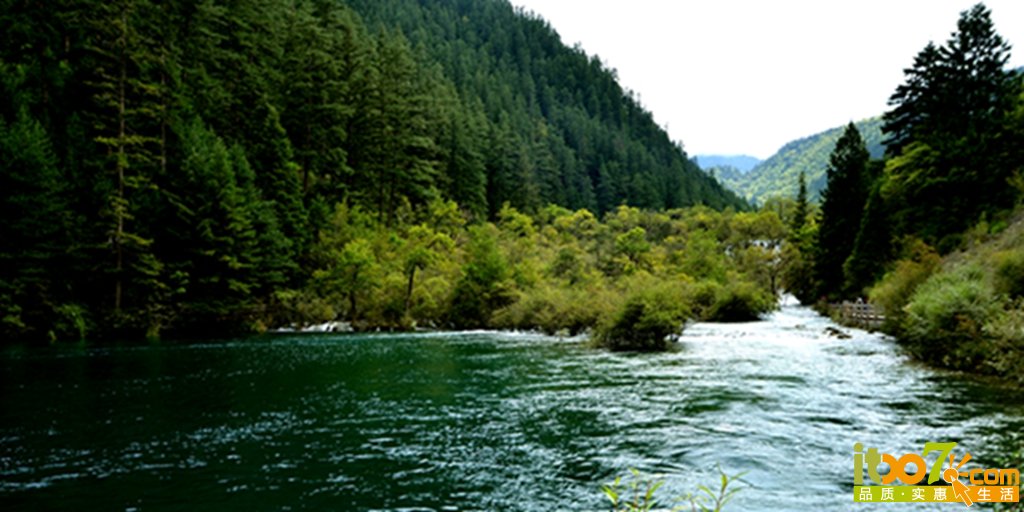 DSC_2278.jpg