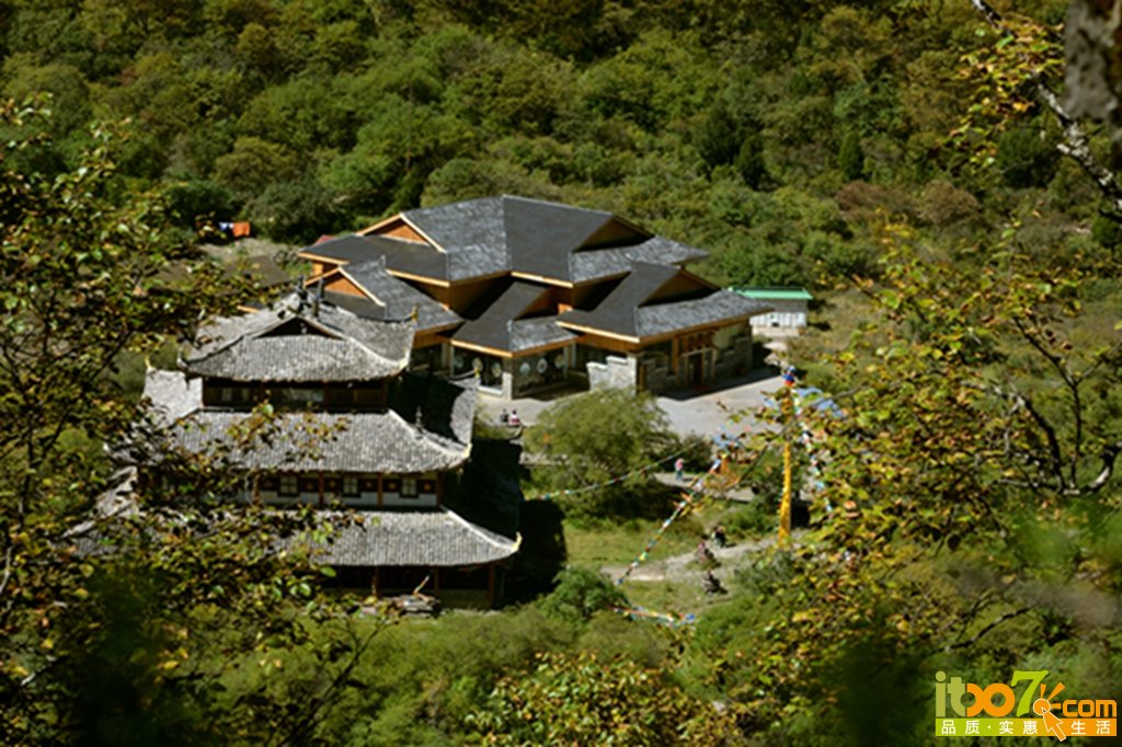 DSC_1791 - 副本 - 副本.jpg