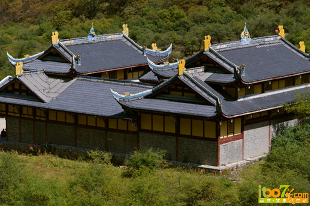 DSC_1898 - 副本.jpg