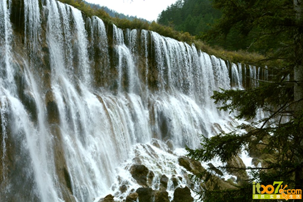 DSC_2019.jpg