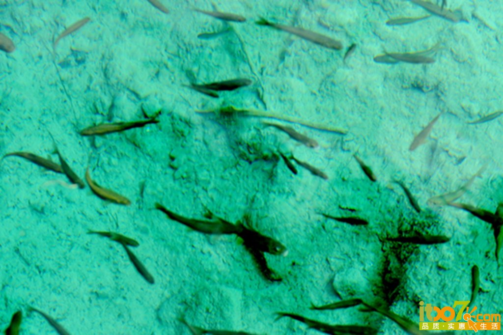 DSC_2310.jpg