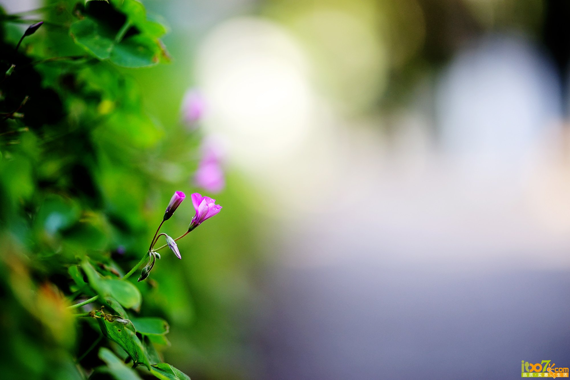 DSC04536小.jpg