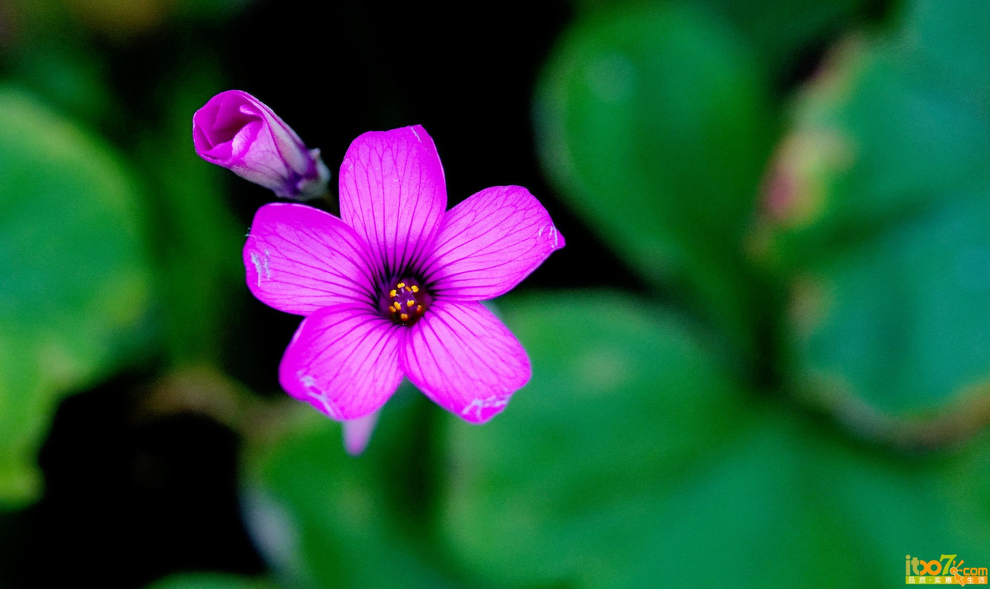 DSC04562小.jpg