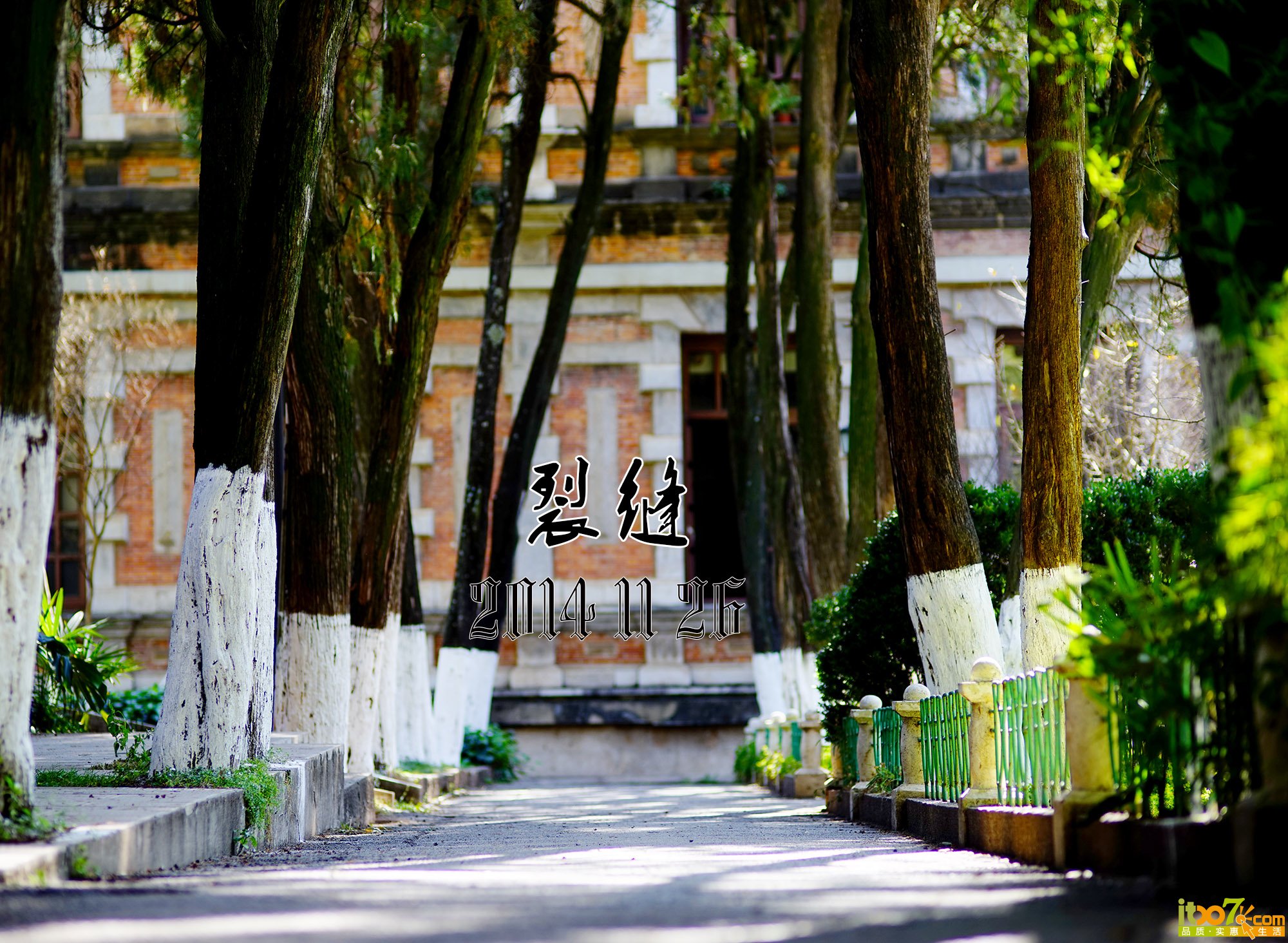 DSC04584小.jpg