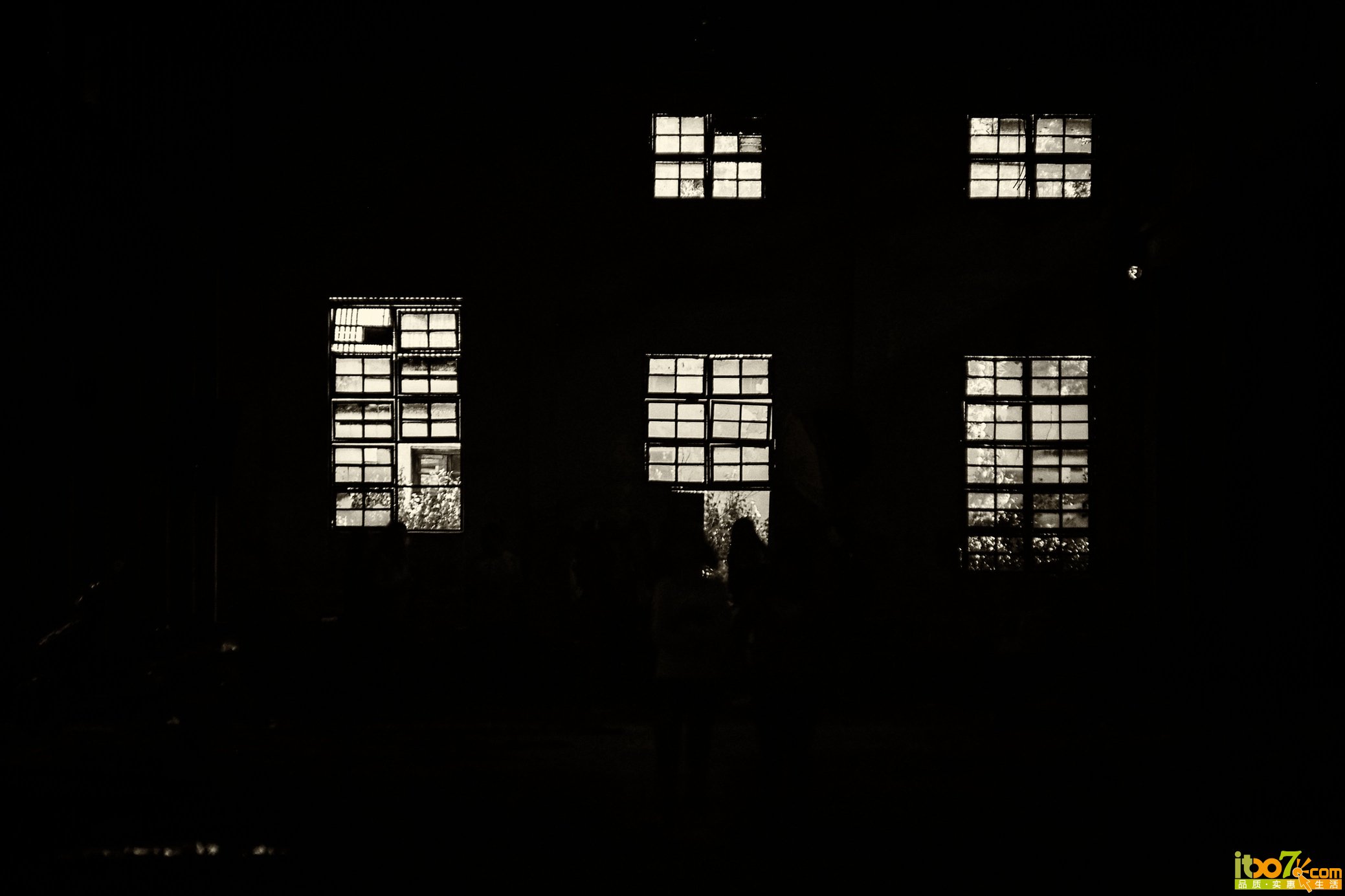 DSCF1339.jpg