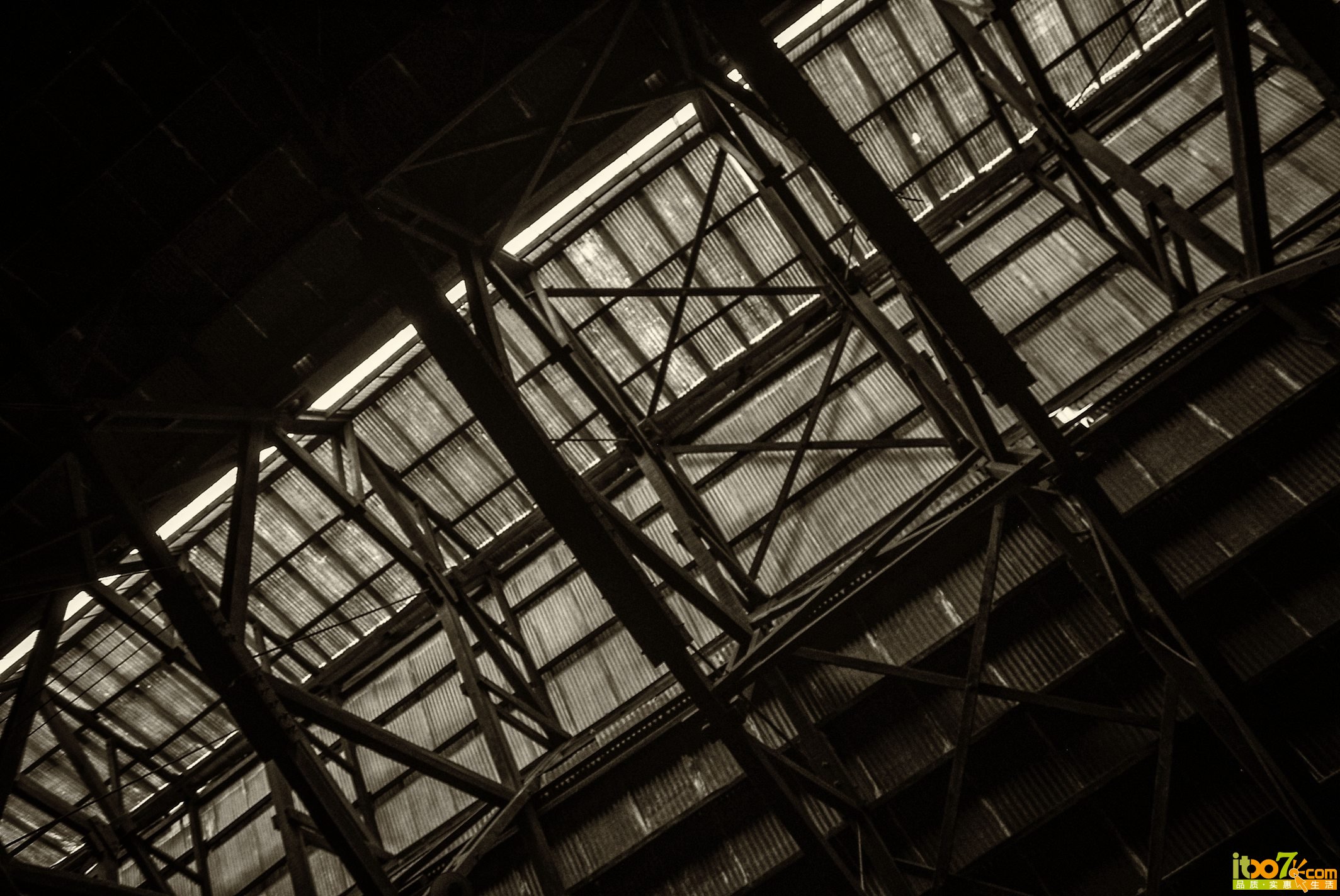 DSCF1516.jpg