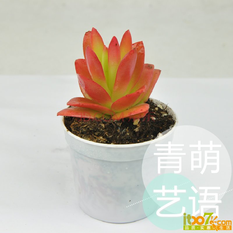 鐏?キ_mh1421291105003.jpg