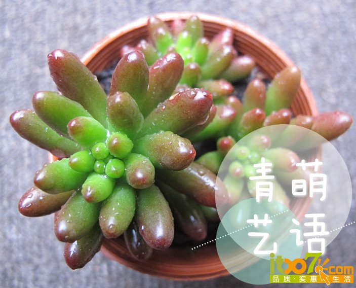 铏逛箣鐜塤mh1421290649457.jpg