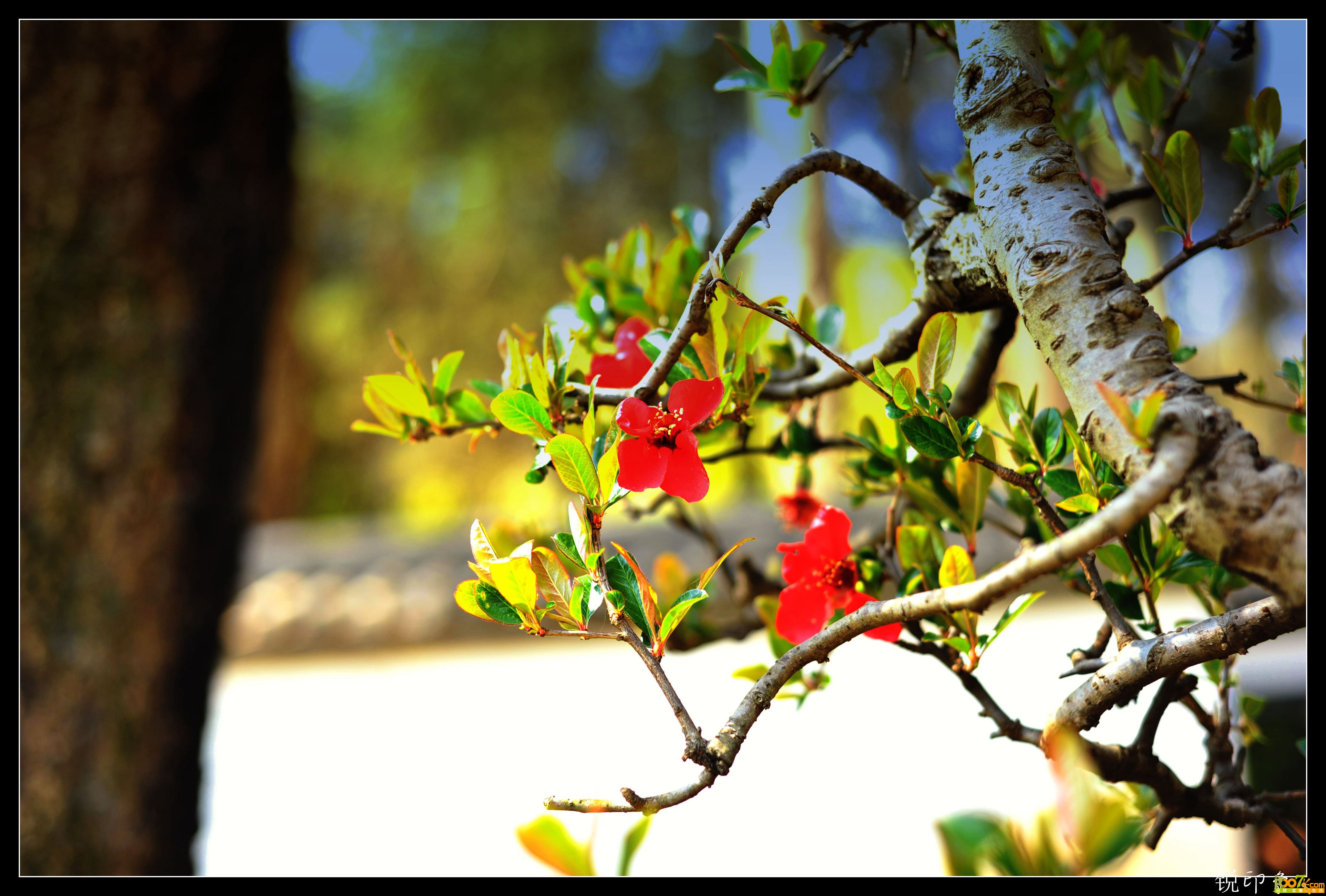 DSC_0296_鍓?湰.jpg