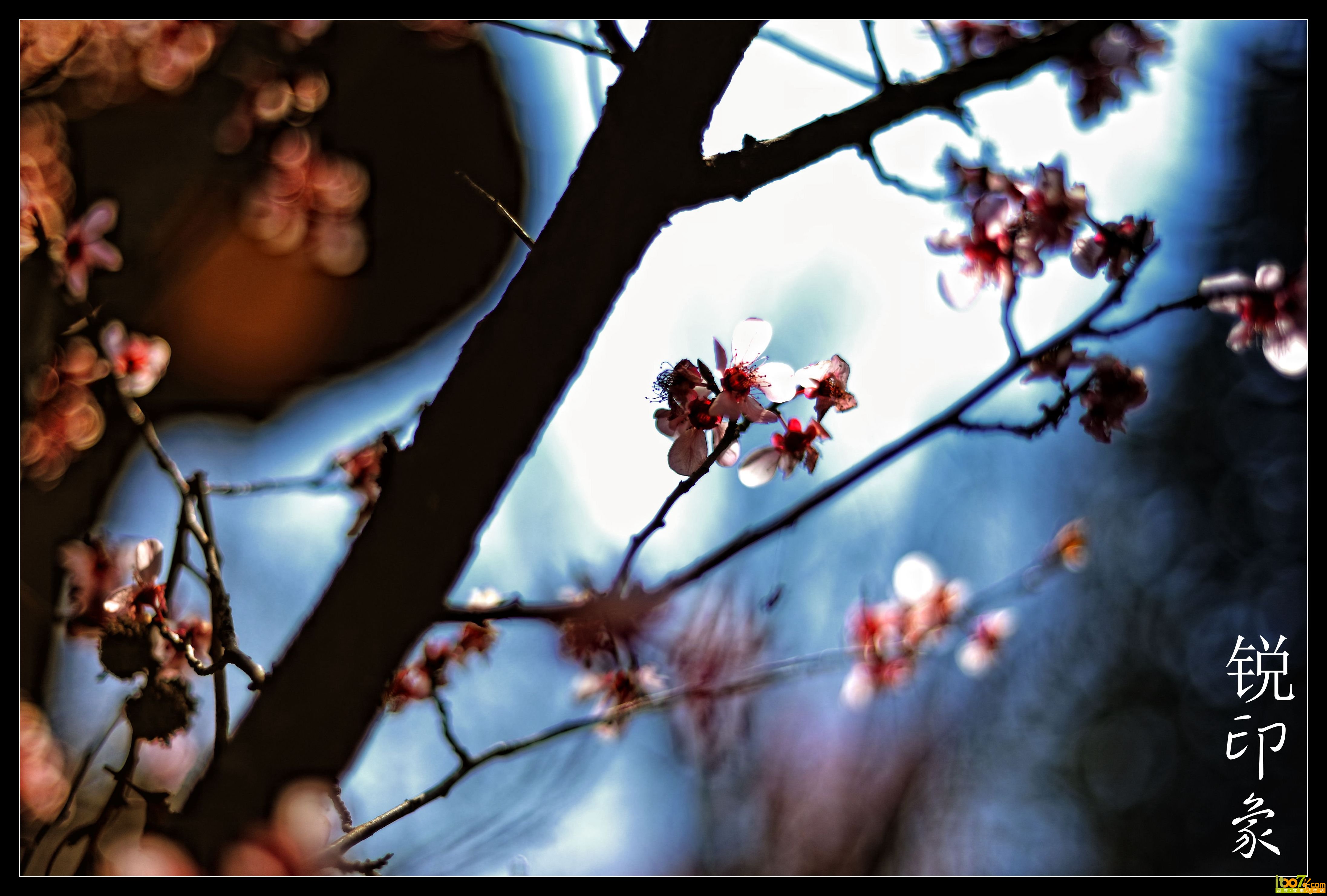DSC_0264_鍓?湰.jpg