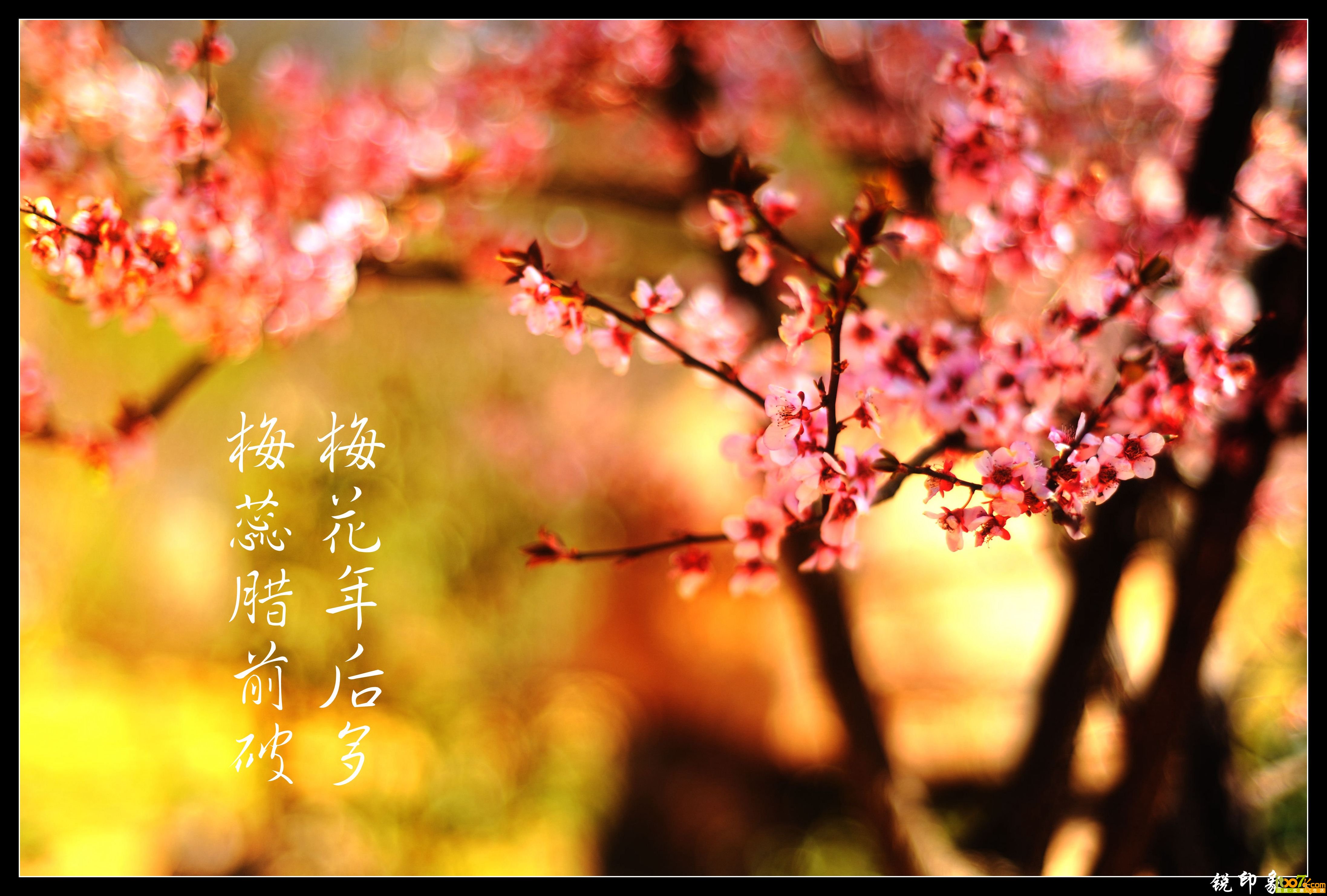 DSC_0246_鍓?湰.jpg