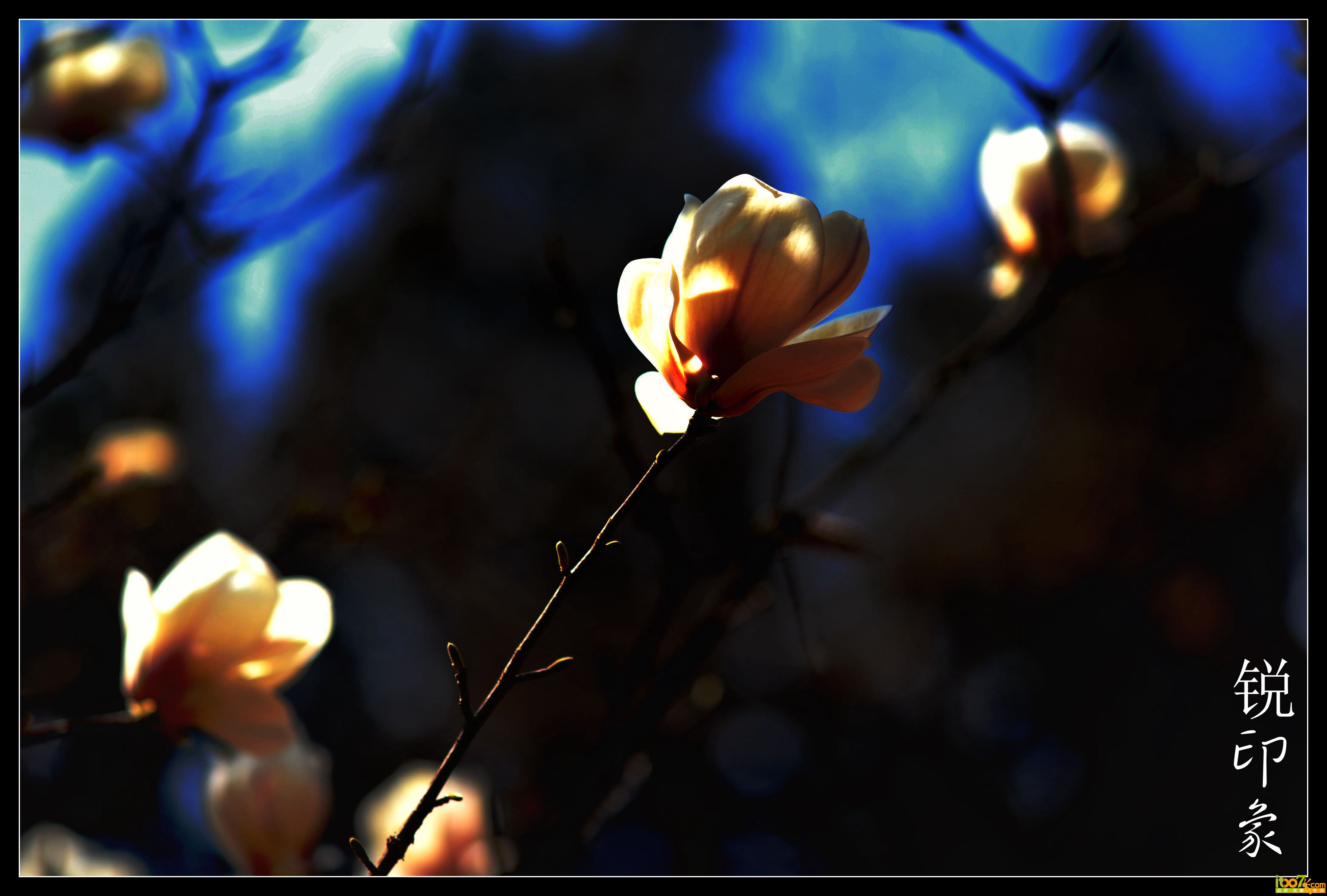 DSC_0276_鍓?湰.jpg