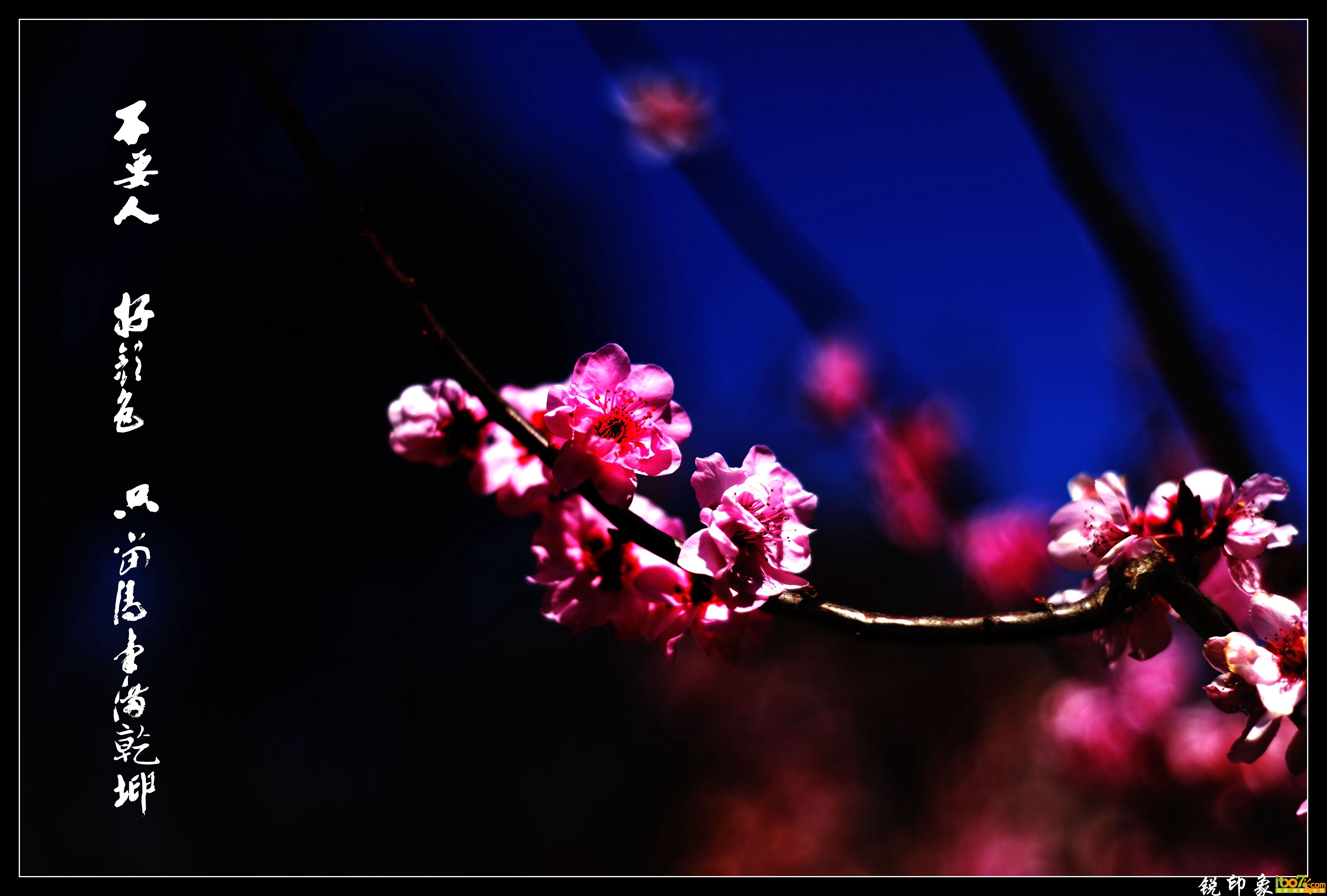 DSC_0240_鍓?湰.jpg