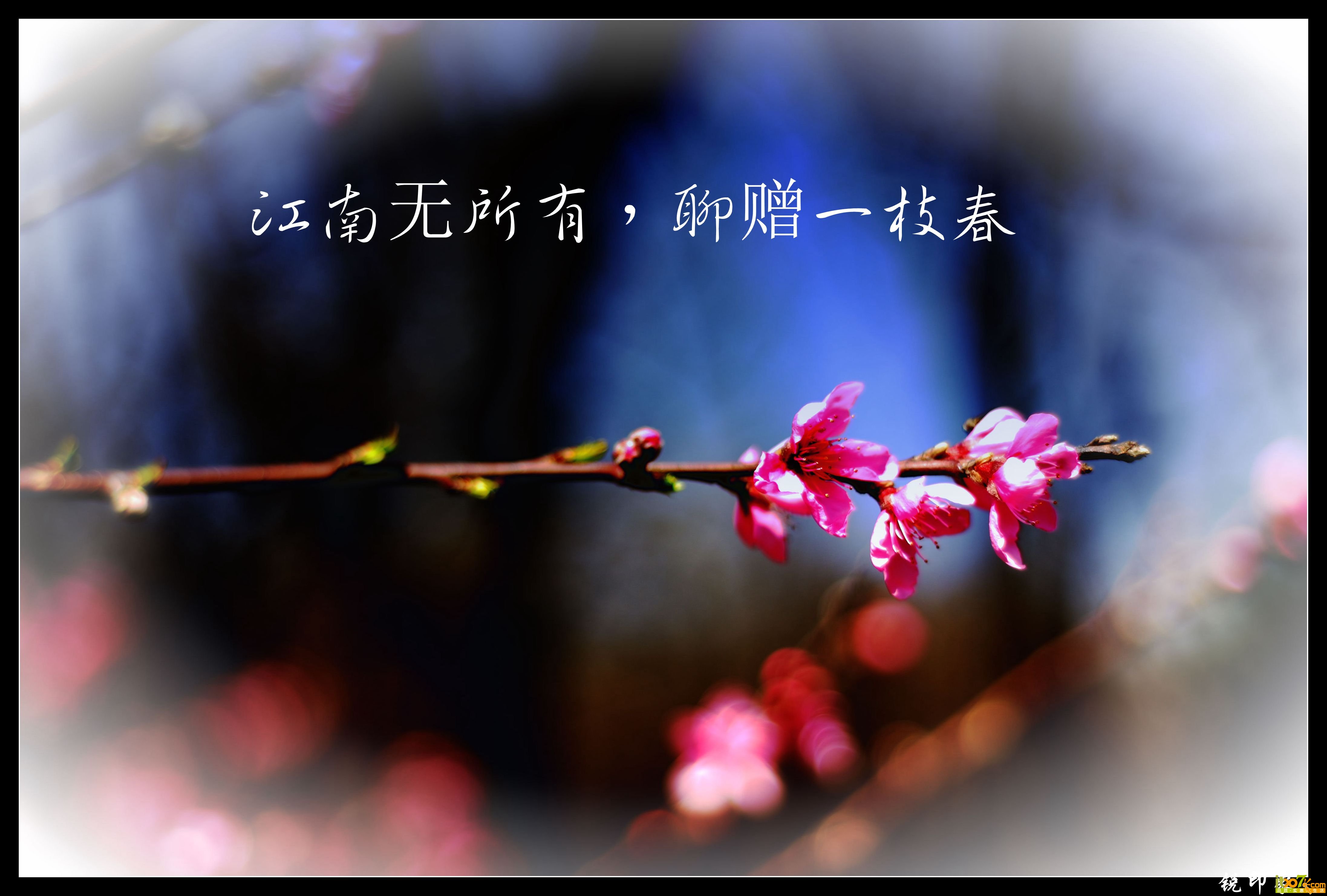 DSC_0243_鍓?湰.jpg