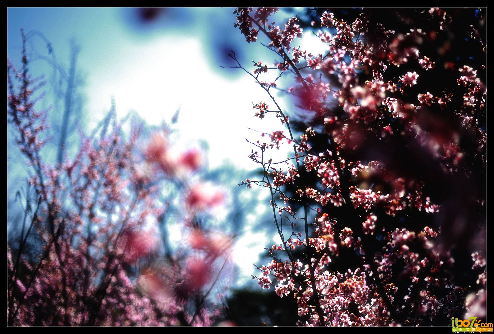 DSC_02651_副本.jpg