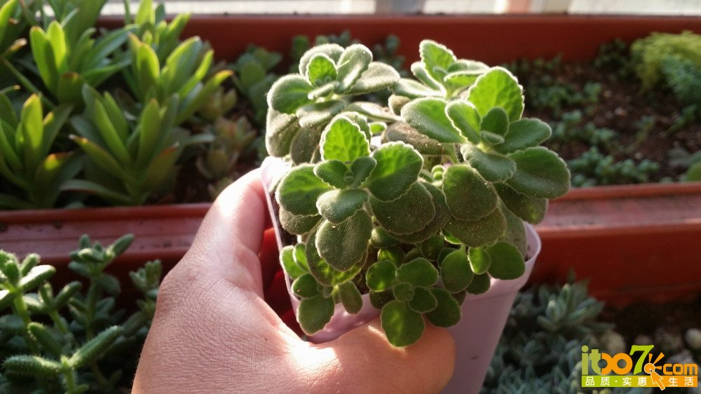 20150307_075540.jpg
