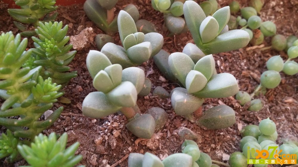 20150307_075706.jpg