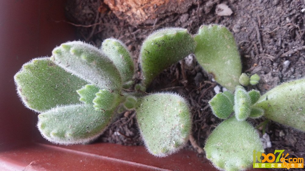 20150311_135737.jpg
