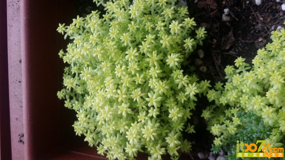 20150311_135751.jpg
