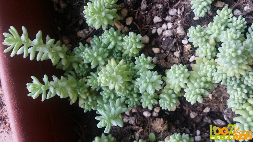 20150311_135856.jpg