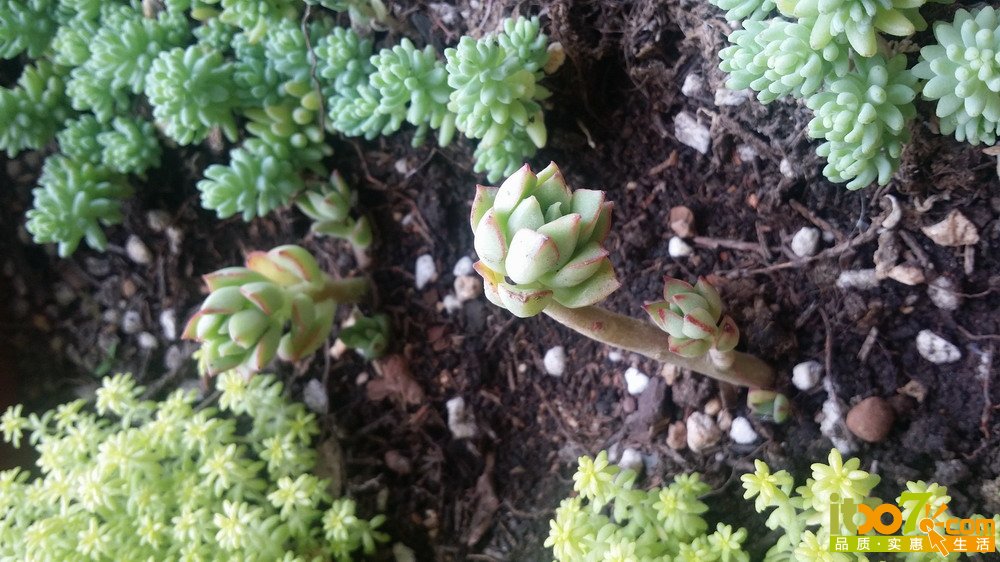 20150311_135844.jpg