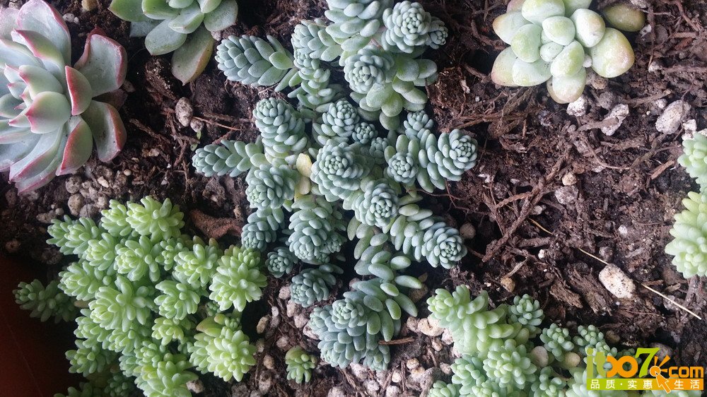 20150311_135904.jpg