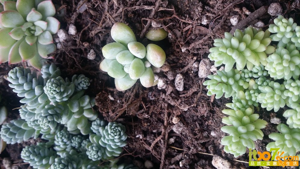 20150311_135920.jpg