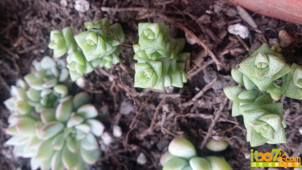 20150311_135933.jpg