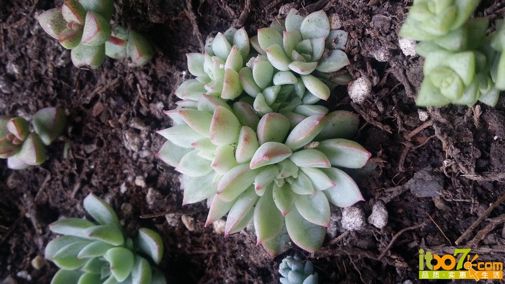20150311_135940.jpg