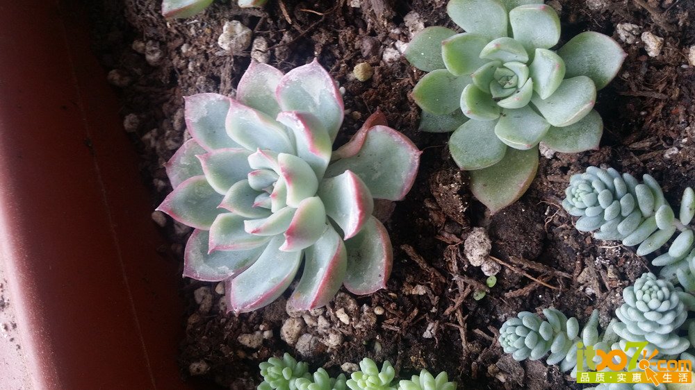 20150311_135950.jpg