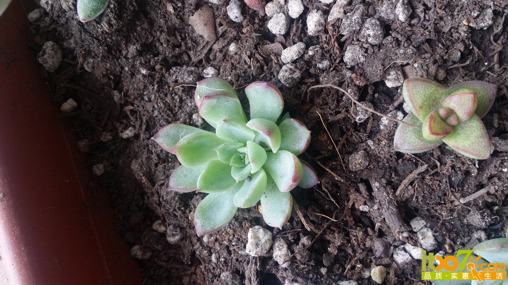20150311_135955.jpg