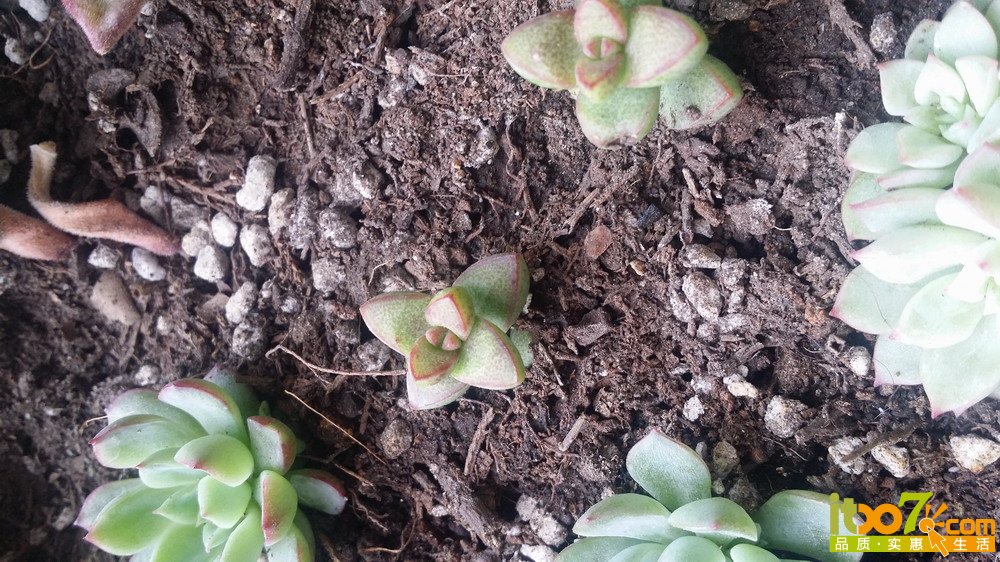 20150311_140012.jpg