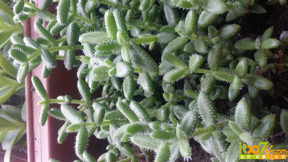 20150311_140035.jpg