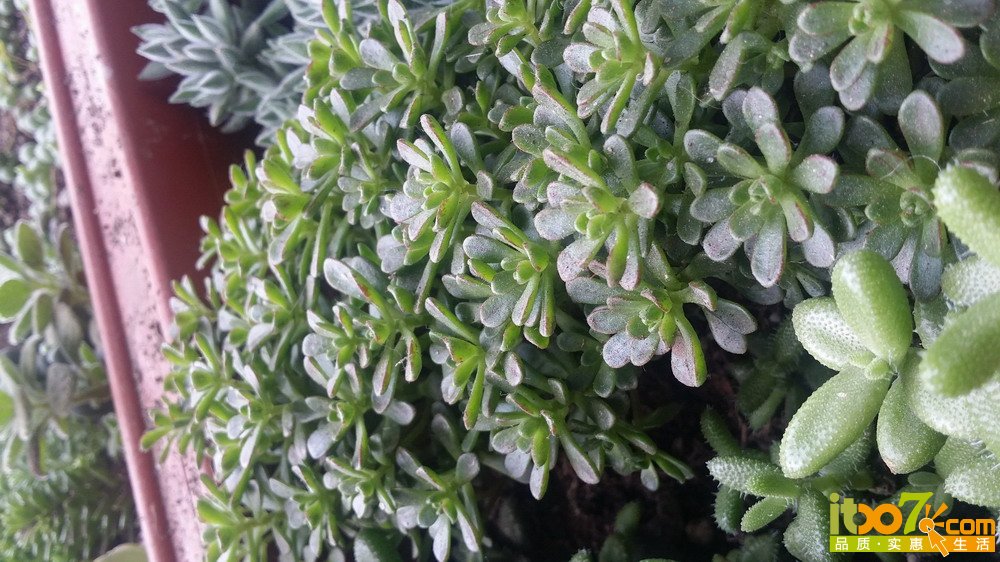 20150311_140041.jpg