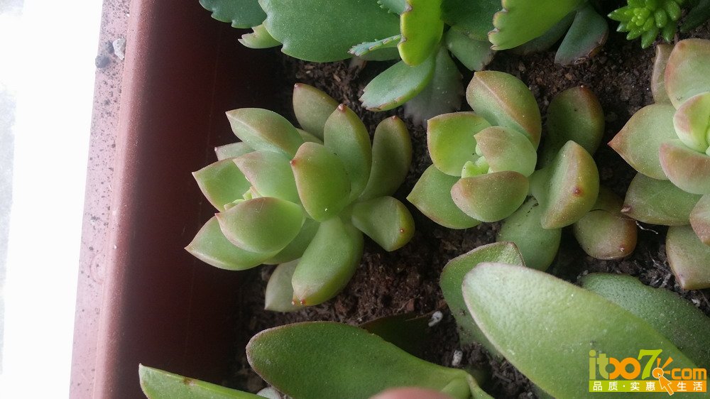 20150311_140113.jpg