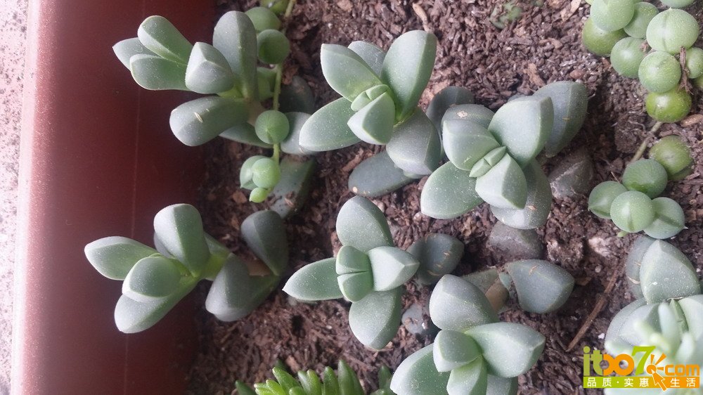 20150311_140129.jpg