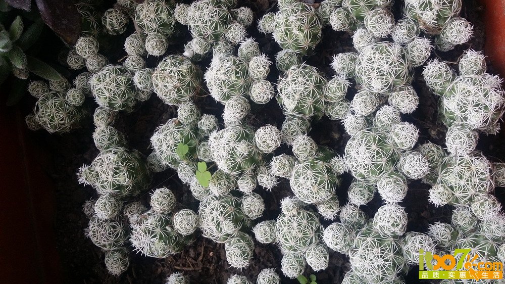 20150311_140155.jpg