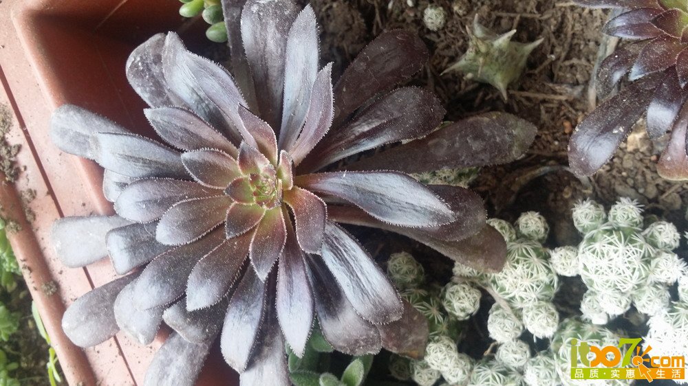 20150311_140200.jpg