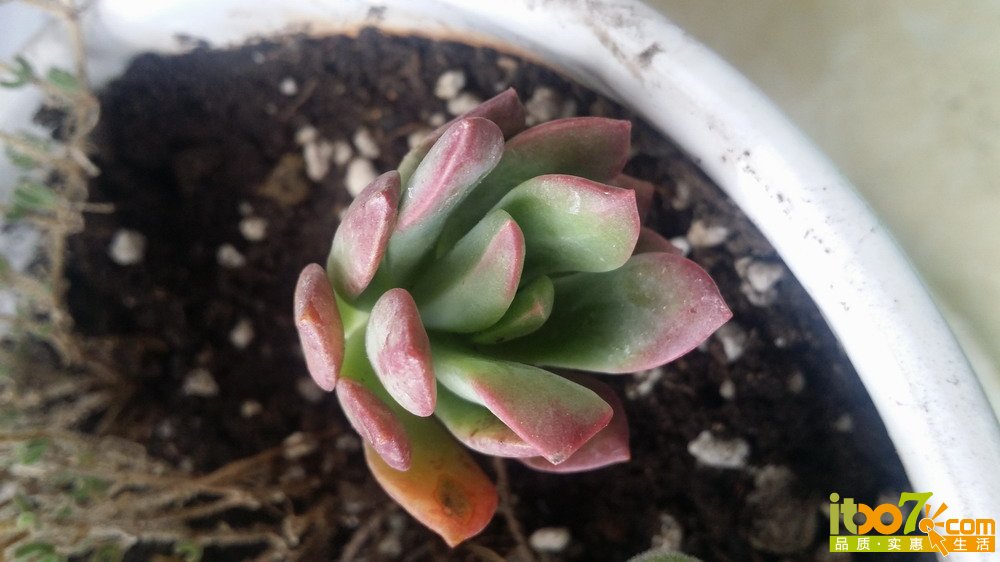 20150311_140251.jpg