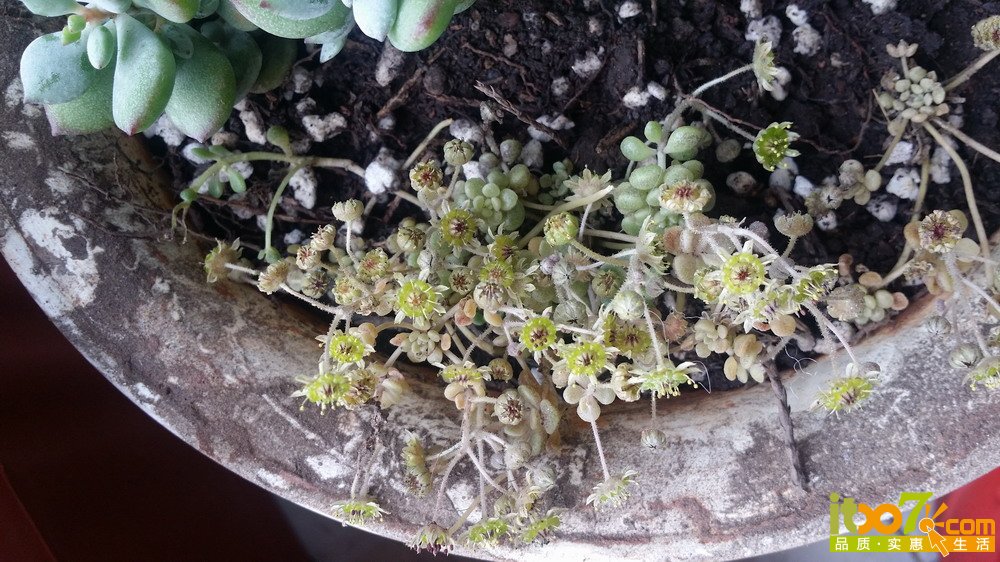 20150311_140354.jpg
