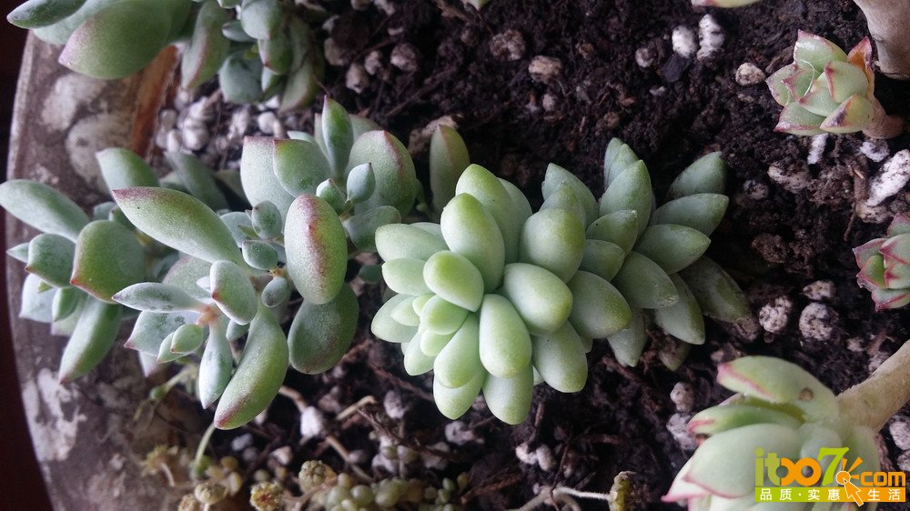 20150311_140404.jpg