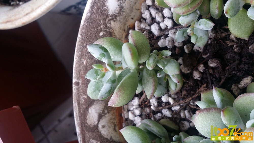 20150311_140413.jpg