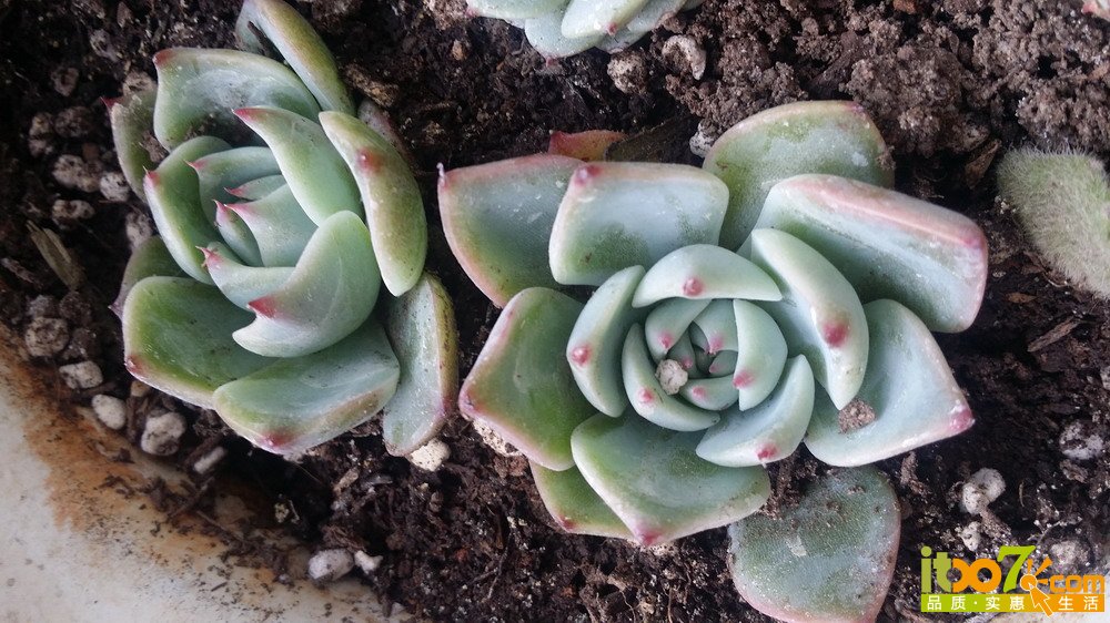 20150311_140440.jpg