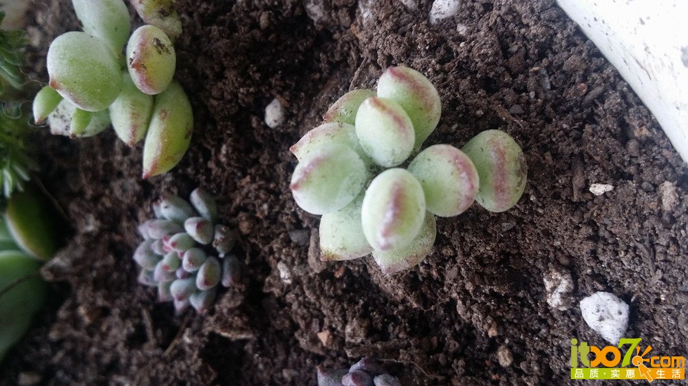 20150311_140504.jpg